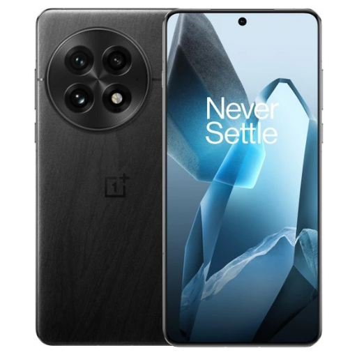 OnePlus 13